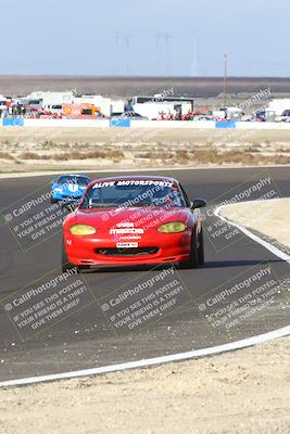 media/Jan-25-2025-CalClub SCCA (Sat) [[03c98a249e]]/Race 4/